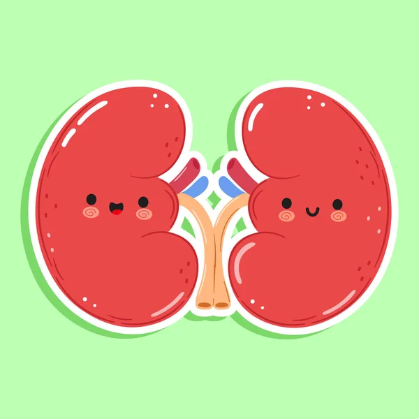 Cute Funny Sticker Kidneys Organ Character Vector Hand Drawn Cartoon — Stock Vector