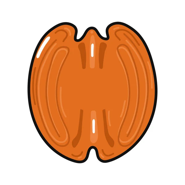 Mignon Personnage Drôle Pecan Vecteur Dessin Main Dessin Animé Kawaii — Image vectorielle