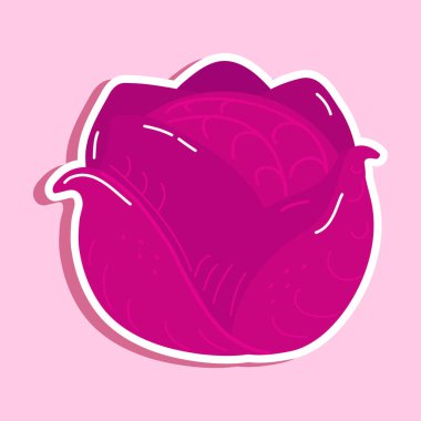 Tatlı kırmızı lahana çıkartması karakteri. Vektör el çizimi çizgi film kawaii karakter çizimi simgesi. Pembe arka planda izole edilmiş. Mutlu kırmızı lahana karakter konsepti