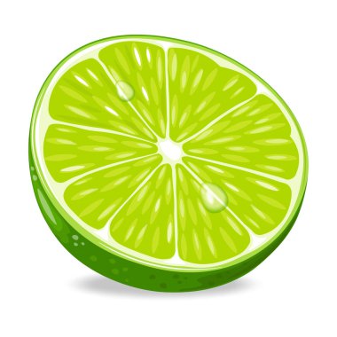 Yeşil limon. Beyaz arka planda izole edilmiş lezzetli, taze ve sulu limonların vektör çizimi