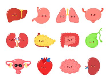 Bir sürü renkli çizgi film karakteri insan organlarını neşeli ifadeler ve eğlenceli aktivitelerle temsil ediyor. Vektör el çizilmiş çizgi film kawaii karakter resimleme simgesi.