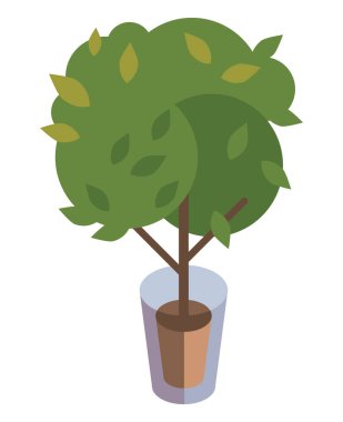 ekoloji ağacı dikme izometrik simgesi