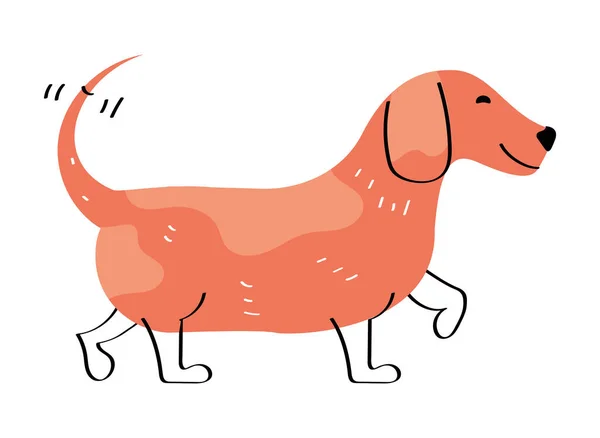 Orange Dog Walk Mascot Character — Stock Vector