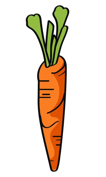 Zanahoria Verduras Frescas Alimentos Saludables — Vector de stock