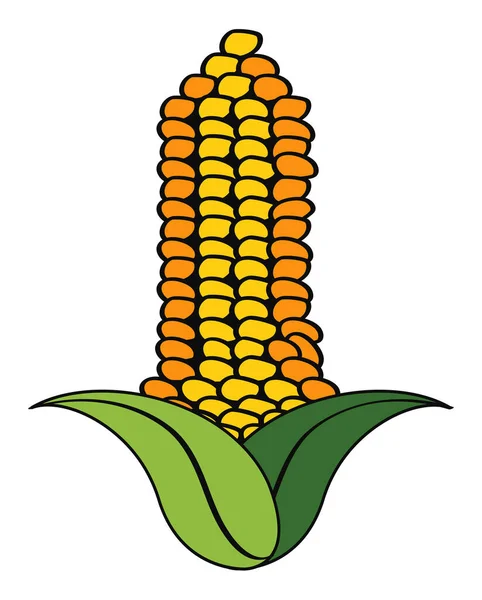 Corn Fresh Vegetable Healthy Food — Stock Vector