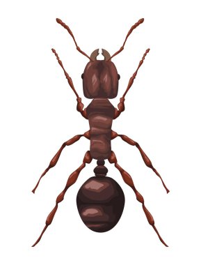 Karınca bahçesi böcek hayvan simgesi