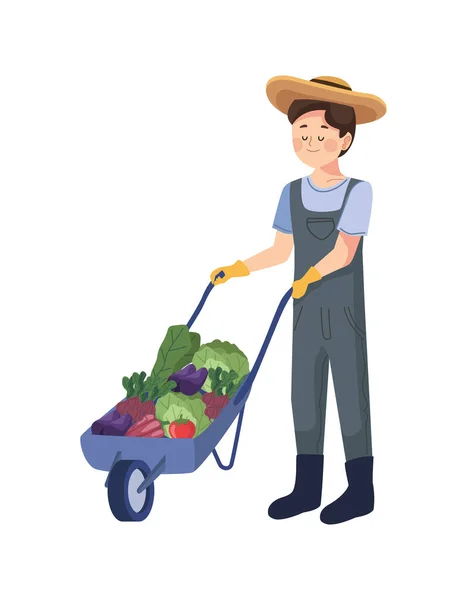 Male Farmer Wheelbarrow Character — Stock Vector