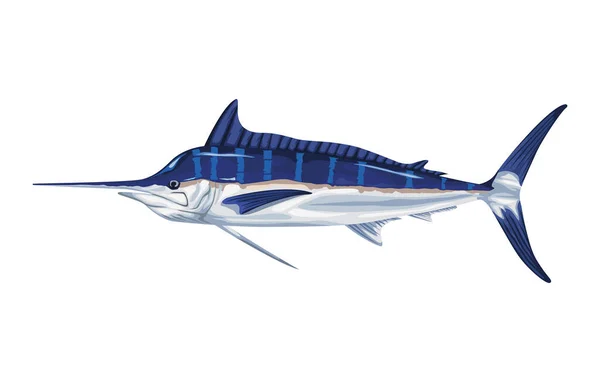 Marlin Marine Life Animal Icon — Stock Vector