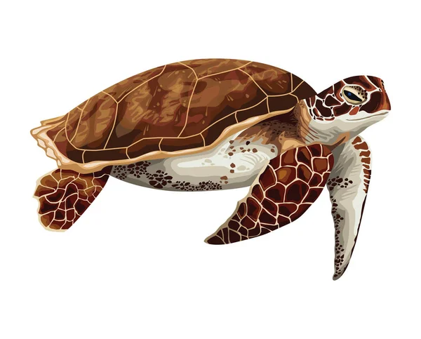 Turtle Marine Life Animal Icon — Stock Vector