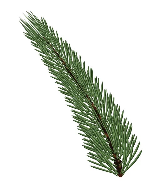 クリスマス松モミの緑のアイコン — ストックベクタ