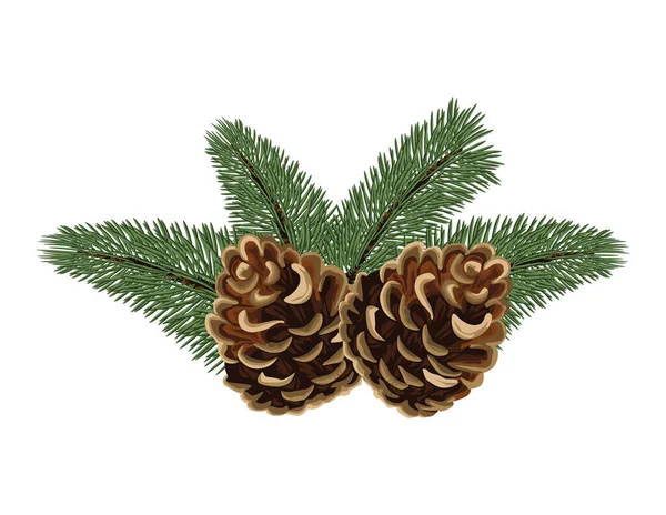 Kerstboom Sparren Kegels Decoratie — Stockvector