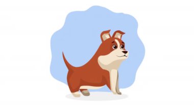 Küçük sevimli köpek maskotu animasyonu, 4k video animasyonu