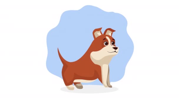 Küçük Sevimli Köpek Maskotu Animasyonu Video Animasyonu — Stok video