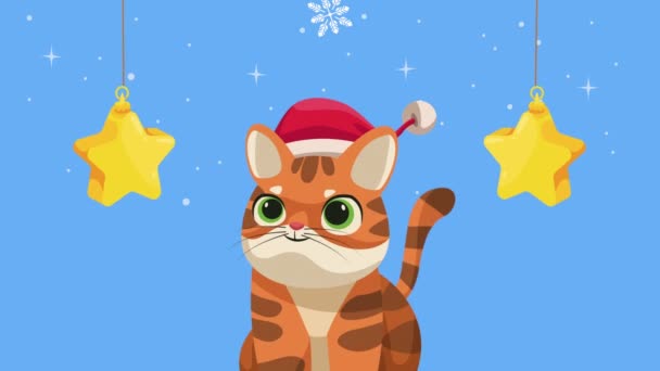 小猫咪庆祝圣诞动画 4K视频动画 — 图库视频影像