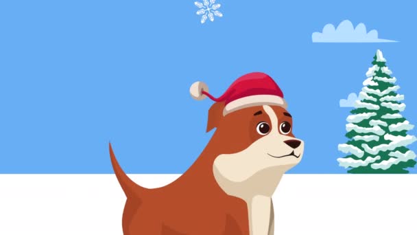 Liten Hund Firar Jul Animation Video Animerad — Stockvideo
