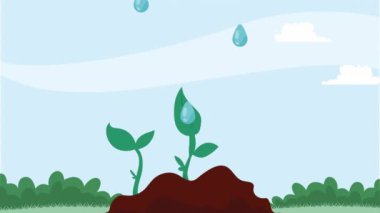 Bahçe bitkileri sahne ekoloji animasyonu, 4k video animasyonu