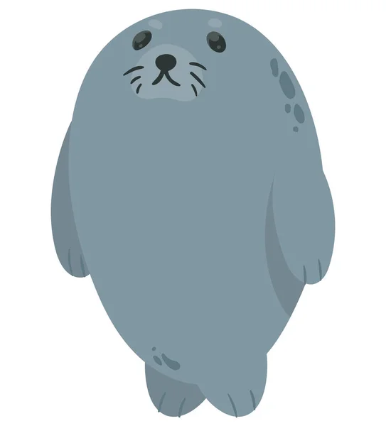 可爱的海豹宝宝 — 图库矢量图片