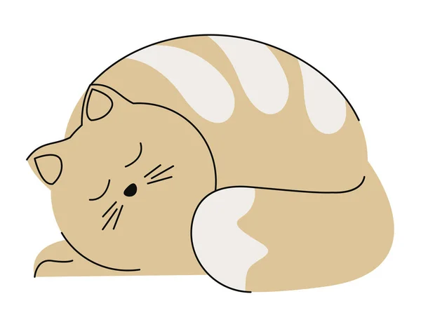 Kleine Beige Katze Schlafenden Charakter — Stockvektor