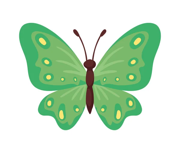 Schmetterling Mit Grünen Flügeln Insekt — Stockvektor