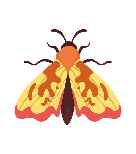 Teigne Orange Insecte Animal Icône — Image vectorielle