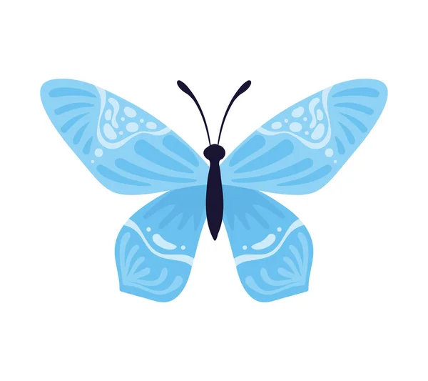 Papillon Aux Ailes Bleues Insecte — Image vectorielle