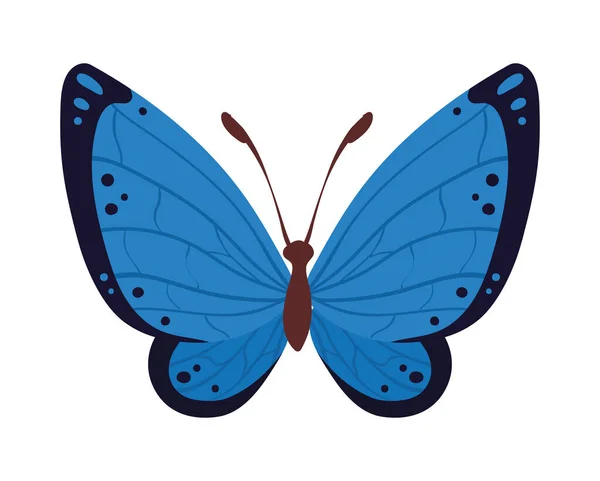 Mignon Papillon Bleu Animal Insecte — Image vectorielle