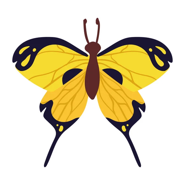 Sevimli Sarı Kelebek Hayvan Böceği — Stok Vektör