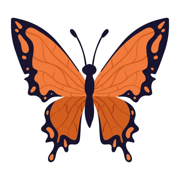 Farfalla Con Ali Arancioni Insetto — Vettoriale Stock