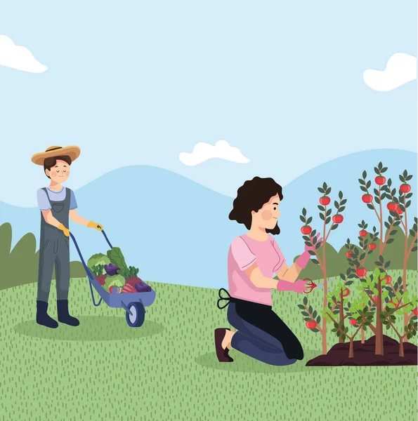 Agriculteurs Couple Avec Des Tomates Caractères Cultive — Image vectorielle
