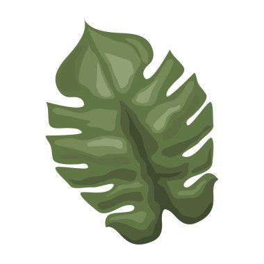 Yaprak bitkisi yaprağı doğa simgesi