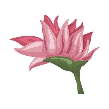 Helikonya egzotik çiçek bahçesi ikonu