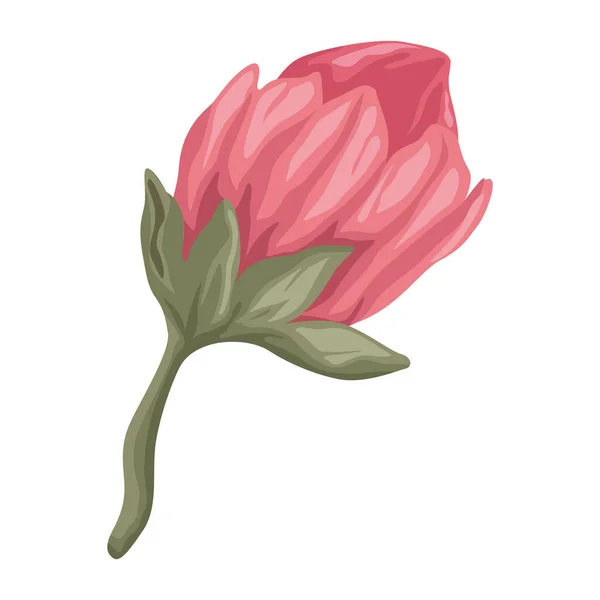 Vermelho Rosa Flor Ícone Jardim — Vetor de Stock