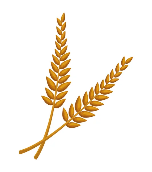 金色大麦尖峰自然图标 — 图库矢量图片