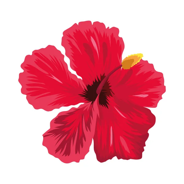 Fleurs Exotiques Rouges Icônes Hibiscus — Image vectorielle