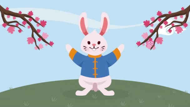 Conejo Con Ramas Chuseok Animación Video Animado — Vídeo de stock