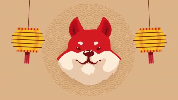 Fox Čínský Zvěrokruh Animace Zvířat Video Animované — Stock video