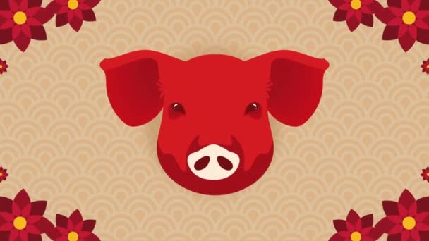 猪中国黄道带动物动画 4K视频动画 — 图库视频影像