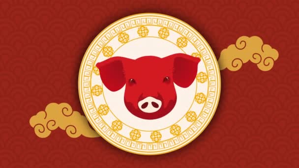 豚中国のゾディアック動物アニメーション 4Kビデオアニメーション — ストック動画