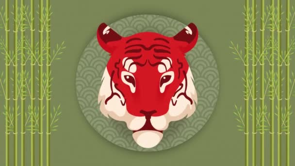 Τίγρης Κινέζικο Ζωδιακό Κύκλο Animation Ζώων Βίντεο Κινούμενα — Αρχείο Βίντεο