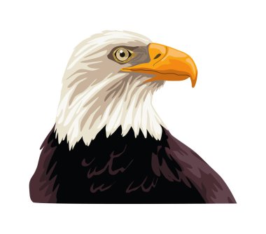 Kel kartal vahşi hayvan simgesi