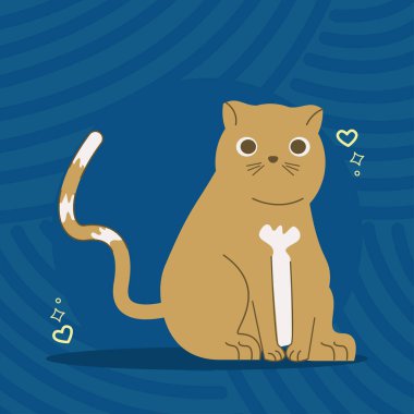 Kalpli sevimli bir kedi.