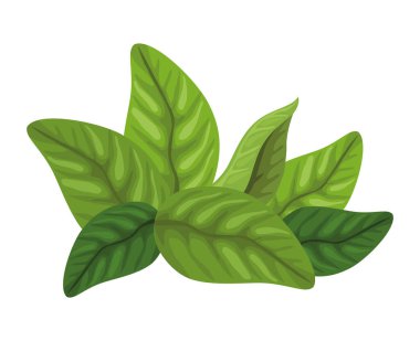 Yaprak bitkisi yaprağı doğa simgesi