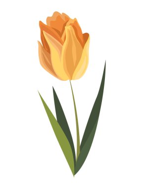 Sarı çiçek bahar mevsimi simgesi