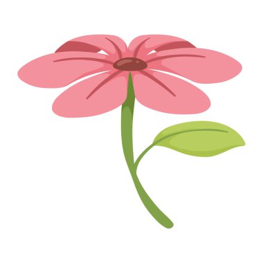 pink spring flower garden nature