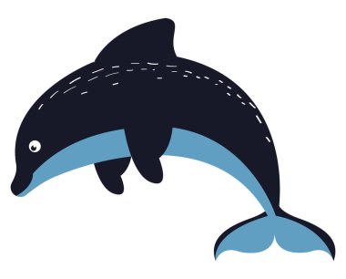 dolphin sealife animal wild character