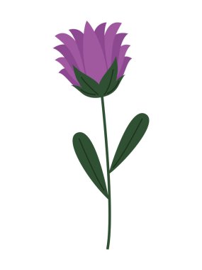 purple flower spring garden nature