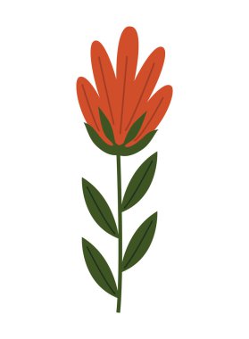 red flower spring garden nature