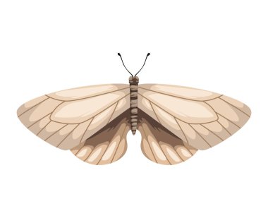 beauty white moth insect icon