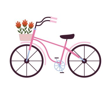 flowers spring in bicycle vehicle