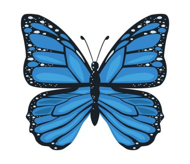 blue beauty butterfly insect icon